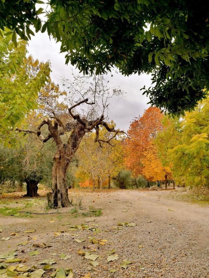 منزل الضيف موراتايا  في Finca La Celada المظهر الخارجي الصورة