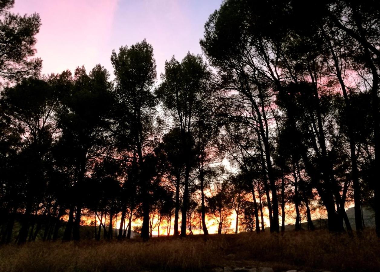 منزل الضيف موراتايا  في Finca La Celada المظهر الخارجي الصورة