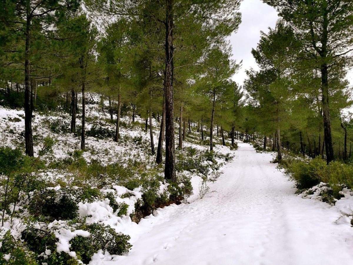 منزل الضيف موراتايا  في Finca La Celada المظهر الخارجي الصورة