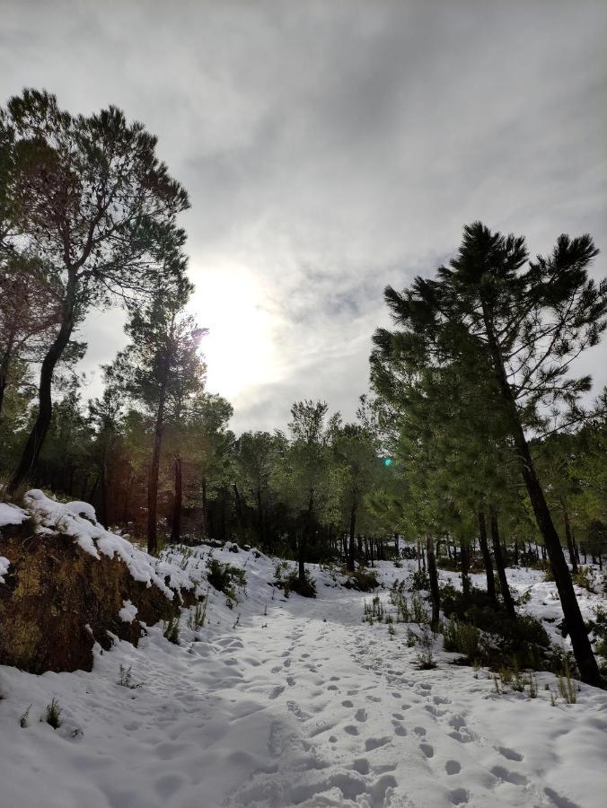 منزل الضيف موراتايا  في Finca La Celada المظهر الخارجي الصورة