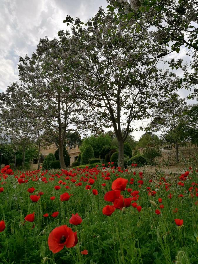 منزل الضيف موراتايا  في Finca La Celada المظهر الخارجي الصورة